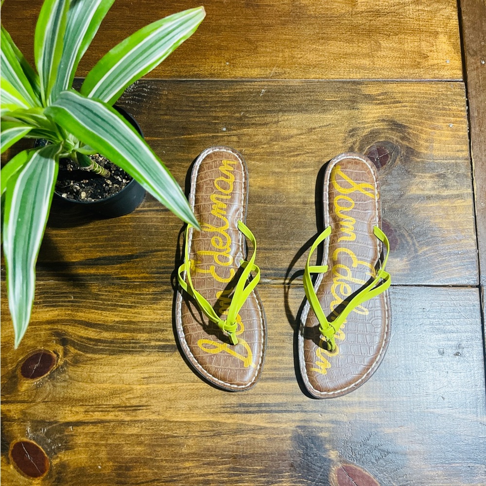 Sam Edelman Brown and Lime Sandals